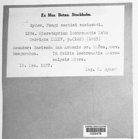 Image Associated With the Occurence